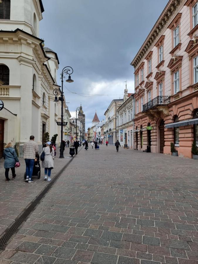 Center Apartment Mlynska Kosice With Private Parking Exterior photo